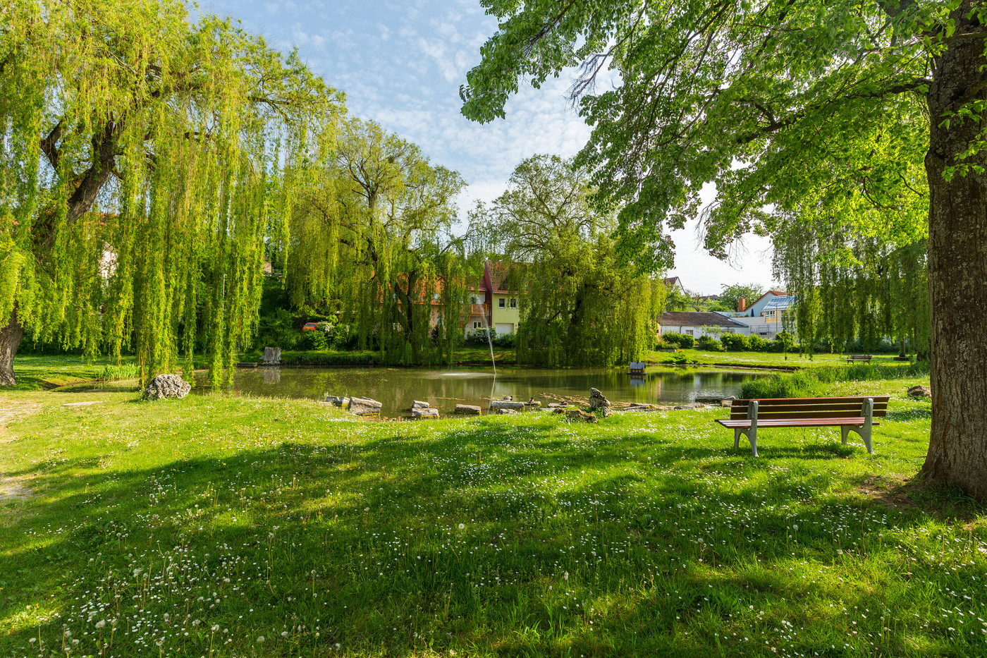 Dörfleinser Weiher