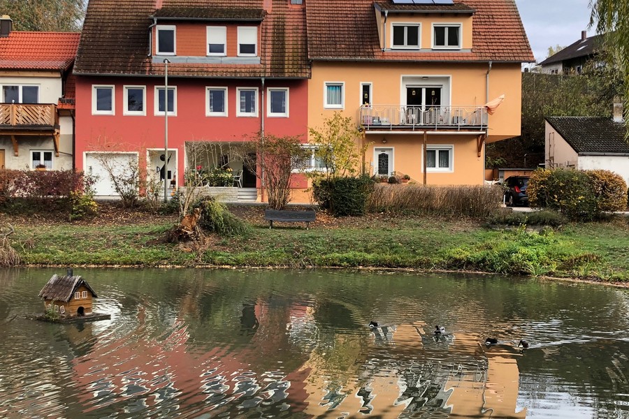 Weiden am Dörfleinser Weiher